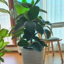 아울렛DC마트 이미지