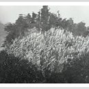 산수화회관 이미지