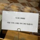 대전/롯데백화점 성심당 티그레 오픈런 후기(+마들렌)