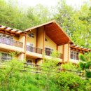 레포츠코리아 이미지