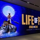 스포라이프(289)[스크린 1포함] | [라이프 오브 파이] 후기 | 진짜 내 인생극이 됨 | 박정민 파이 후기 | GS아트센터 1층 시야