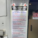 건대 애견카페 :: 쾌적하고 시원한 강아지카페 히릿 후기