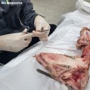 이윤치과 이미지