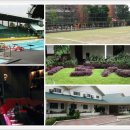 11650-16-12-16 이미지