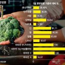 브로콜리 티스토리