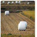 진흥화학 이미지