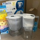 pet149라9492 | 브리타 정수기 후기 미세플라스틱 걱정 덜은 1인가구 리켈리 추천