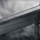 무시(무) 이미지