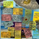 파체리토 이미지