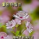 휠링 이미지