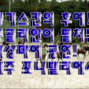 포니제주 이미지