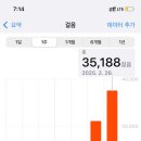 카페 서머브릿지 | 시드니 아이스버그 다녀왔어요
