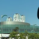 일산 킨텍스 2025 냥냥펀치 캣쇼 간단후기