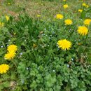 중앙동233 이미지