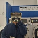 만능세탁빨래방 이미지