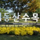 미동산수목원 이미지