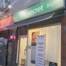더시크릿 속눈썹