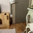 댕그랑댕 | [2022.06.27~07.03] 폭염 미쳤냐며 날 죽일셈이냐며