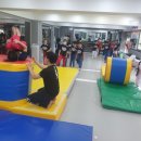 그린나래 태권도 시범단 이미지