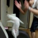 함덕애드
