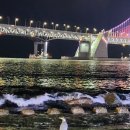 억수로맛있는대교집 이미지