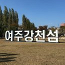 은행나무길 대여소 | 2025 여주 강천섬 단풍시기 실시간 후기 | 은행나무길 + 주차정보