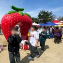 오뚜기어린이공원 | 충남 아이랑 가볼만한곳 논산 딸기축제 후기