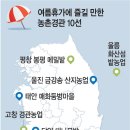 송화목재 이미지
