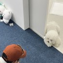 스튜디오성수 이미지