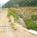 안심2리 이미지