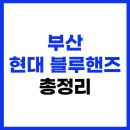 현대자동차 블루핸즈 강서범방점 | 부산 해운대구, 사상구, 강서구, 사하구 현대 블루핸즈 영업시간 예약 총정리