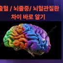 뇌출혈과 뇌경색 그리고 뇌혈관질환 바로 알기 이미지