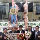 대전충남양돈농협 포크빌 축산물공판장 이미지
