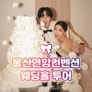 컨벤션웨딩홀 | 울산결혼식장 [연암컨벤션] 웨딩홀 투어 후기🎀