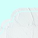 비올라셀성형외과의원 이미지