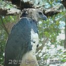 영동소금구이 이미지