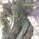 금지면 방촌마을 | [남원] 고리봉(708.9m)---완료