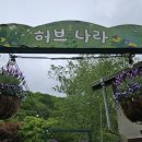 하늘내린농원 | 평창 가볼만한곳 허브나라농원 비 오는 날 더 차분했던 산책과 카페 후기