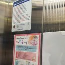 그림숲아트미술교습소 - 서초구 사임당로 158 | 그림숲아트미술교습소