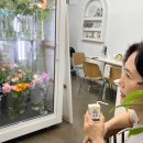 봄을 부르는 생화 플로리스트 | 울산 중구 남외동 꽃집 스프링온 다알리아 꽃다발