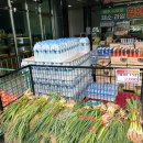서포마트