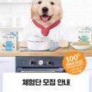 카루 이미지