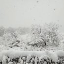 탑스크린골프아카데미 이미지