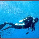 스킨 스토어 이미지