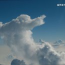 올인원크린서울