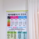 티나걸
