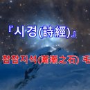참참 티스토리