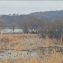 낙동강체육공원 자전거대여소 이미지