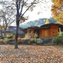 나이테펜션 이미지