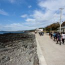 방울풍뎅이 이미지